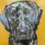 Visiting Artist Chess Heward